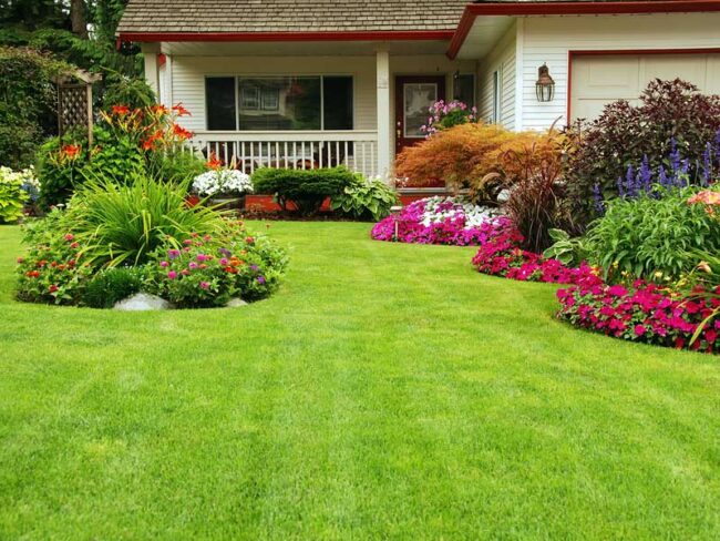 landscaping gardening 13