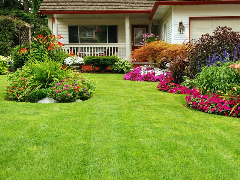 landscaping gardening 13