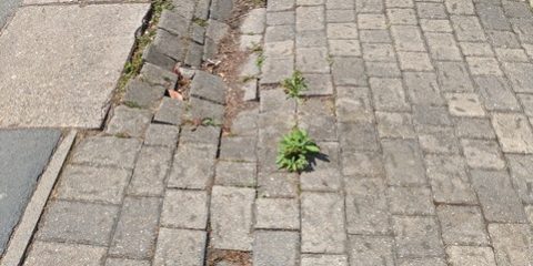 collapsed block paved driveway